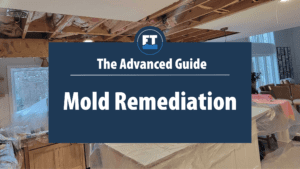 Mold Remediation Graphic